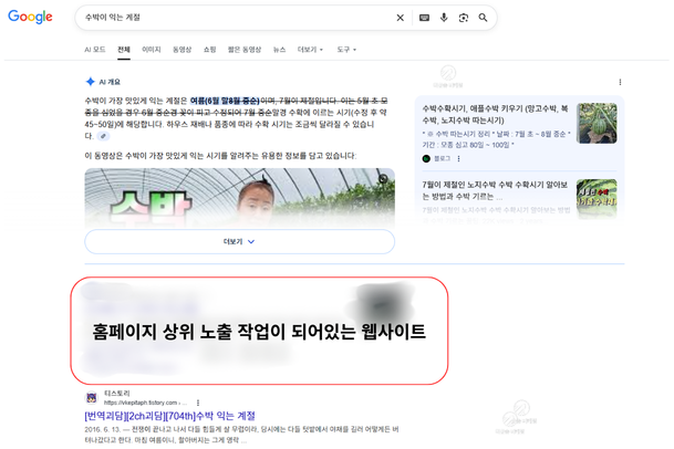 사이트 상위 예시